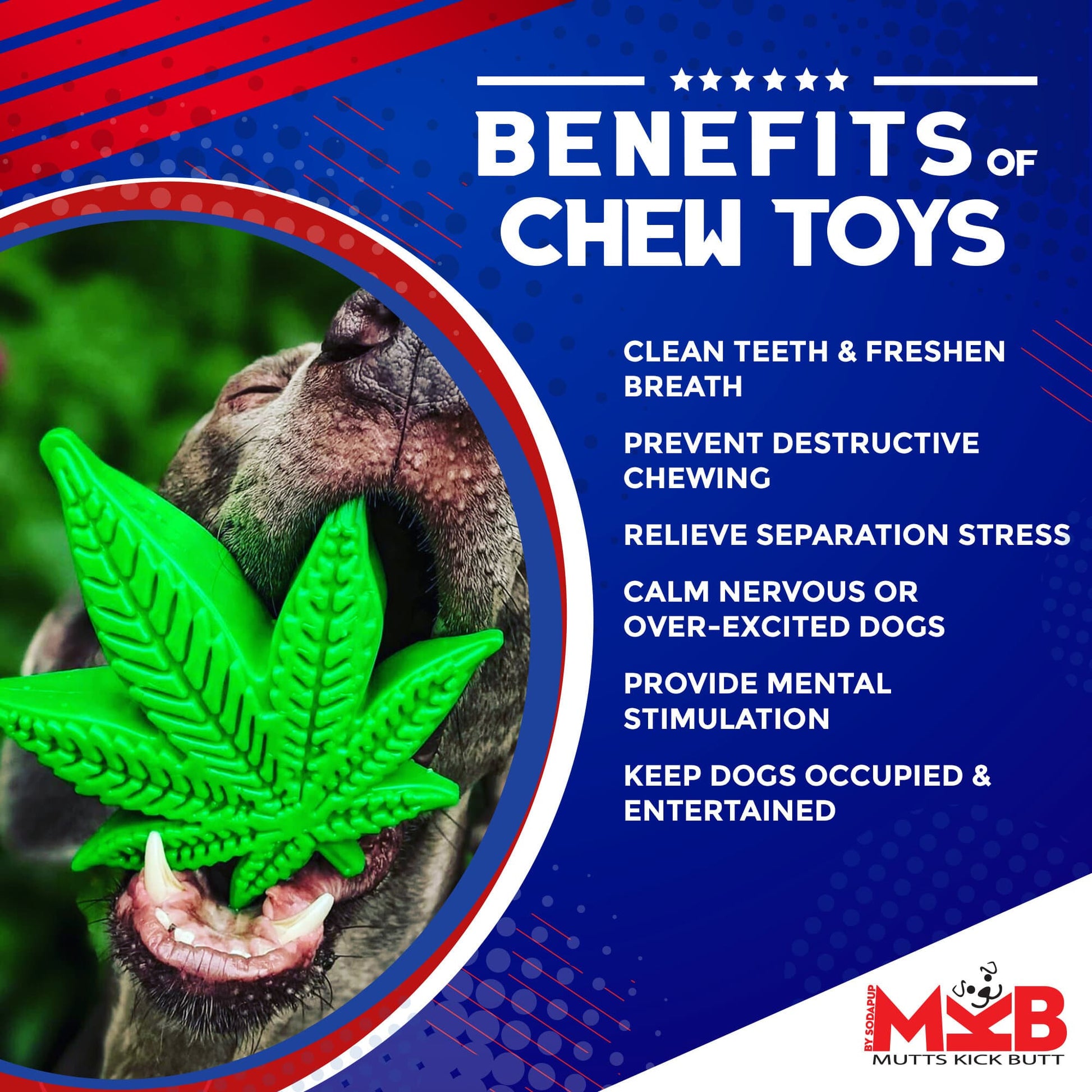 Colorado Maple Leaf Nylon Dog Chew Toy For Aggressive USA - lifestyle view