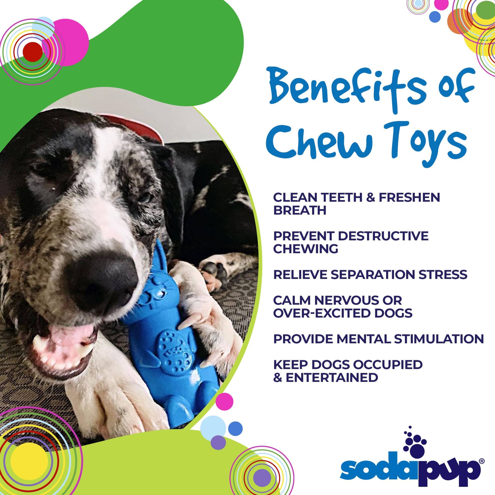 Bunny Nylon Chew Toy For Aggressive Chewers Durable USA Made - lifestyle view