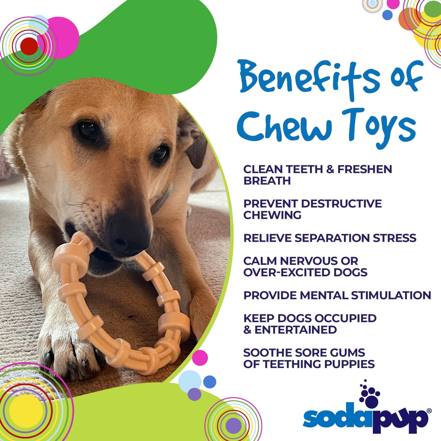 Chicken Flavored Teething Ring For Puppies Aggressive USA - lifestyle view