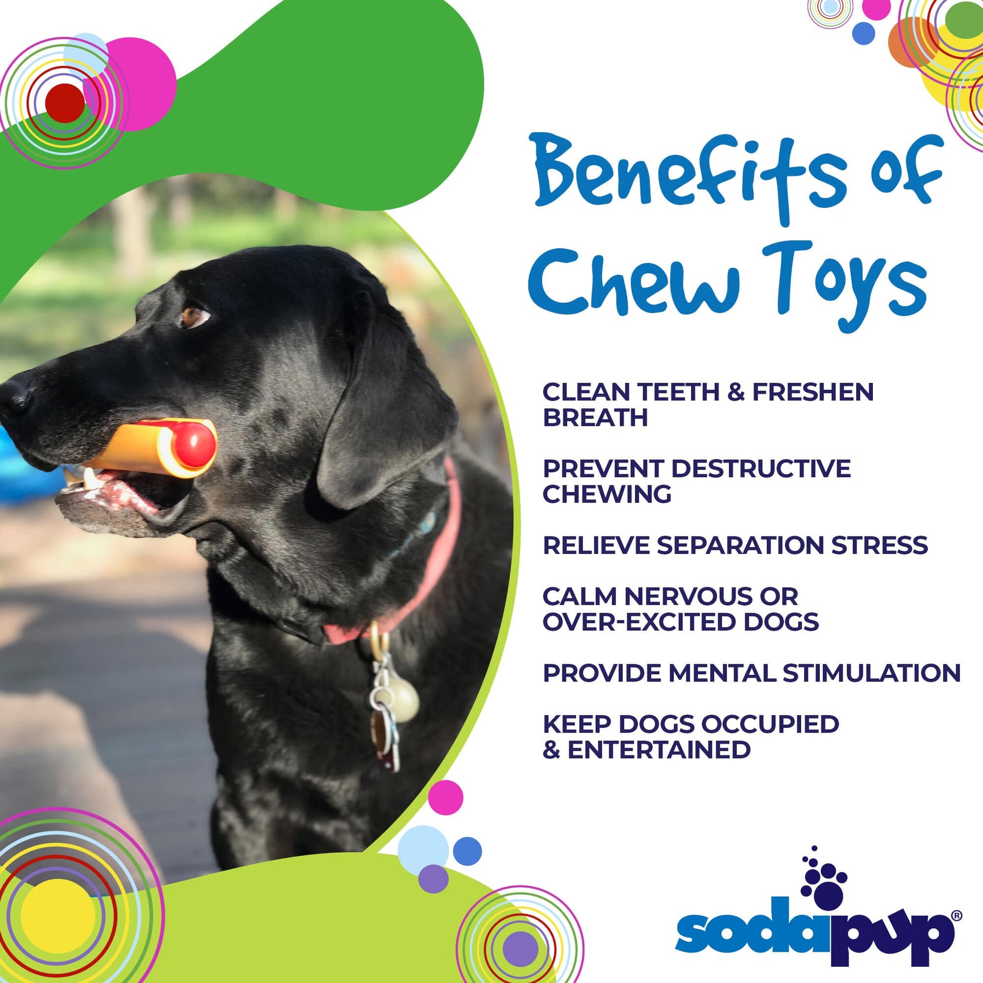 Hot Dog Nylon Dog Toy For Aggressive Chewers USA Made Dog - lifestyle view