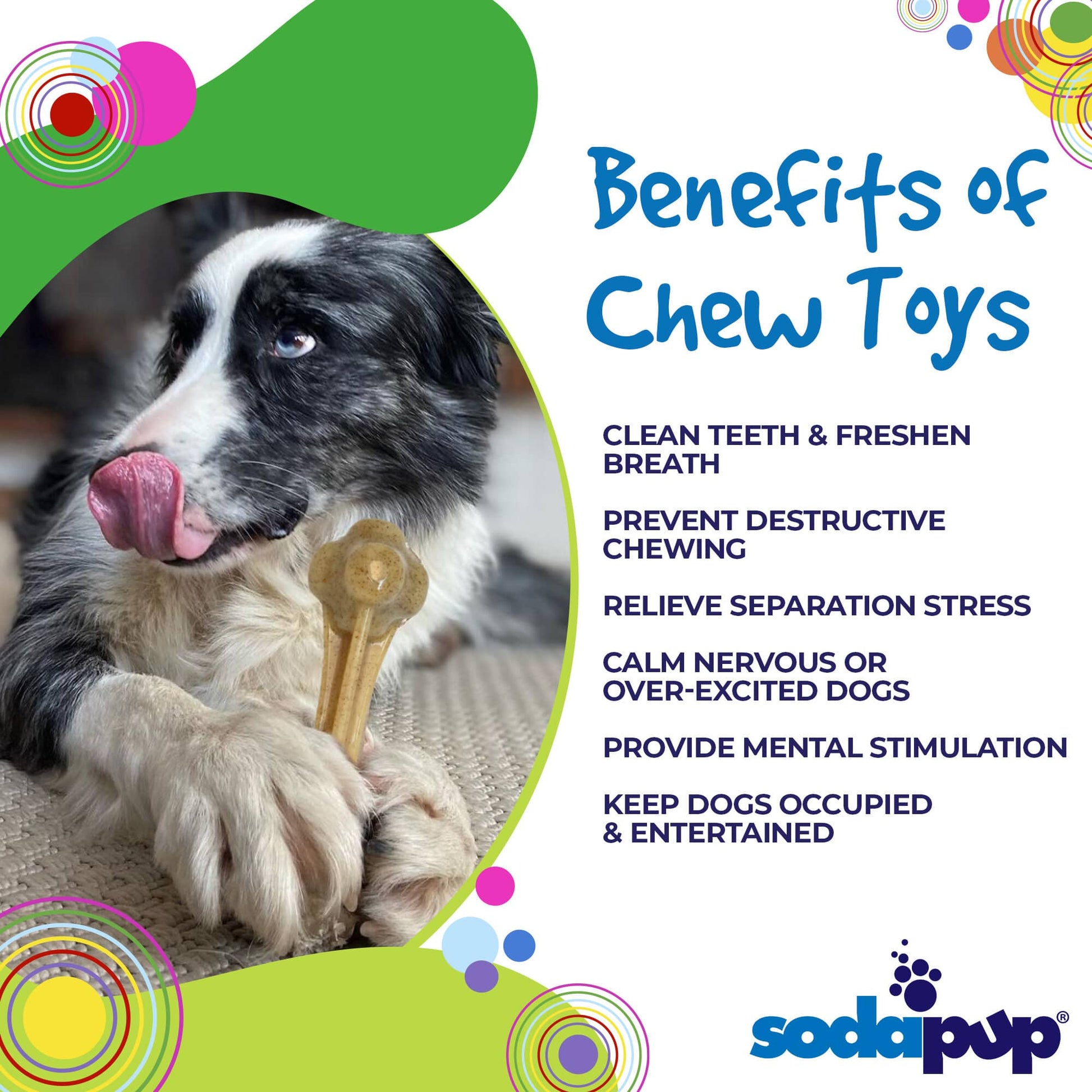 Knuckle Bone Nylon Dog Chew Toy For Aggressive Chewers Made - lifestyle view