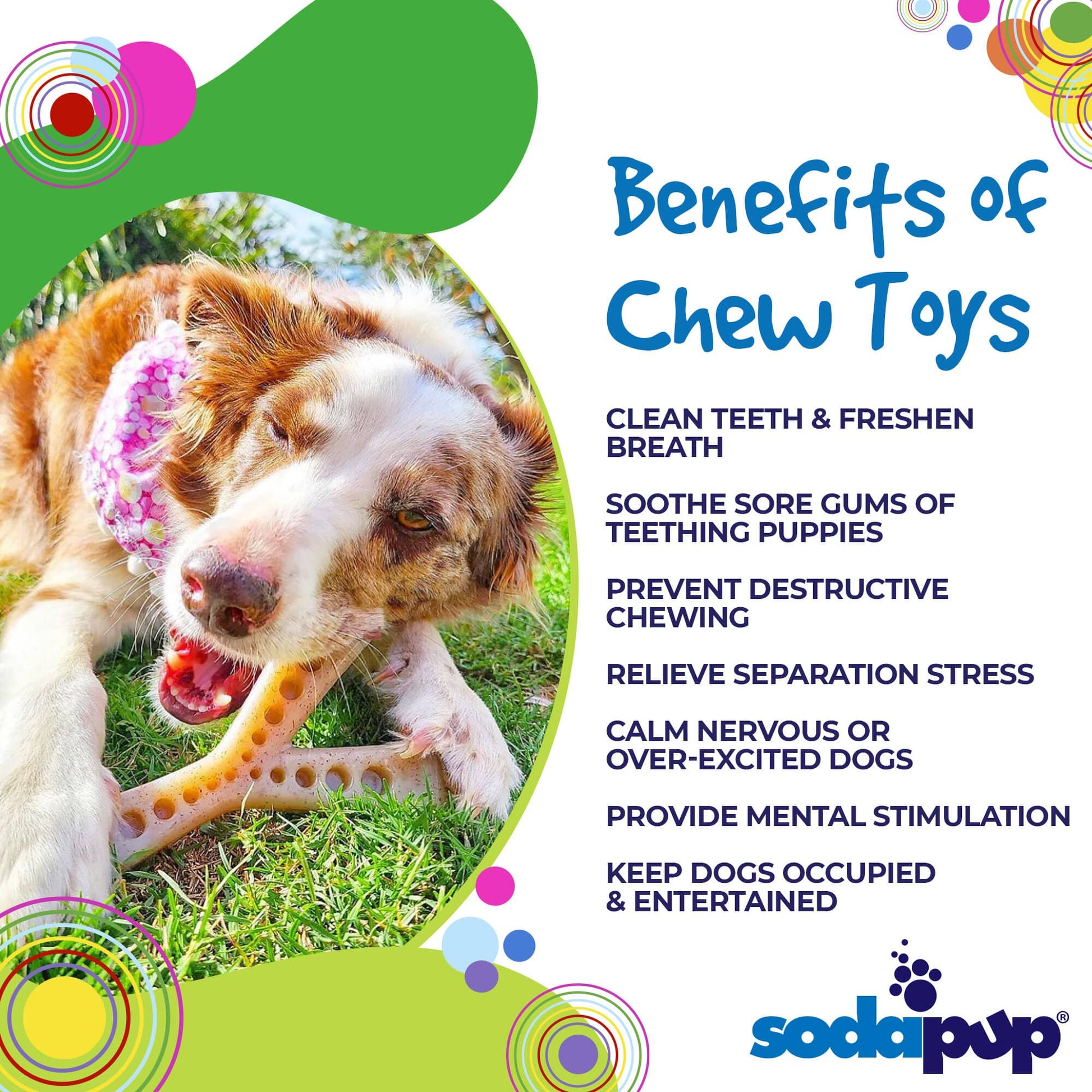 Mod Wishbone Nylon Dog Chew Toy For Aggressive Chewers USA - lifestyle view