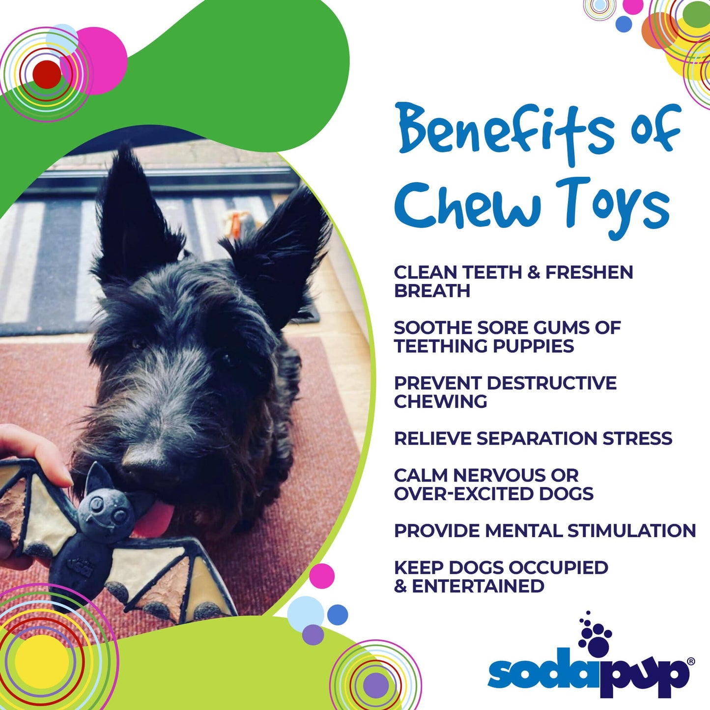 Vampire Bat Nylon Dog Chew Toy For Aggressive Chewers USA - close up view