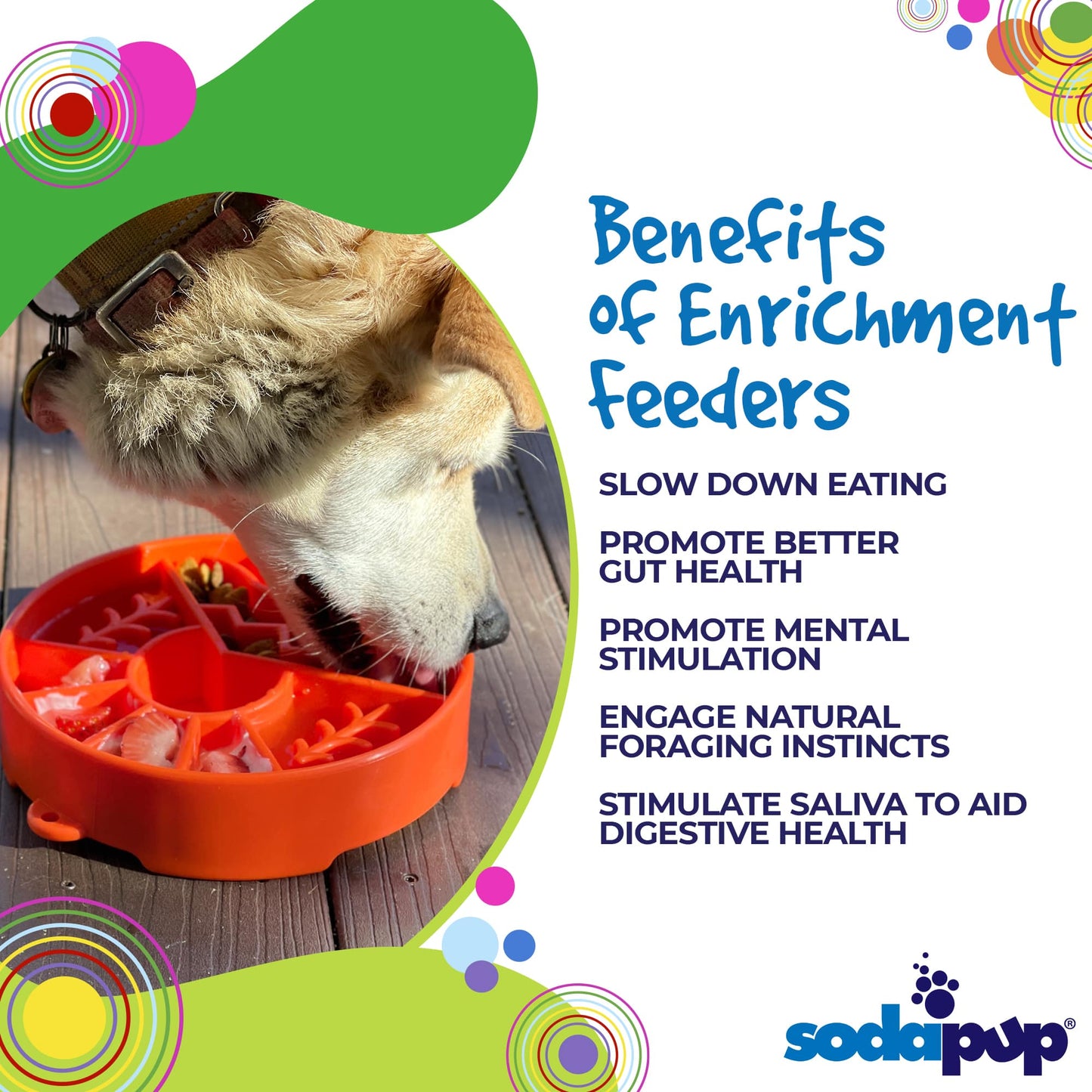 Great Outdoors Ebowl Slow Feeder Dog Bowl Enrichment USA Pet - gallery image 6