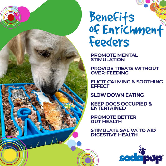 Waiting Dogs Etray Shallow Slow Feeder Bowl For Enrichment - detail view