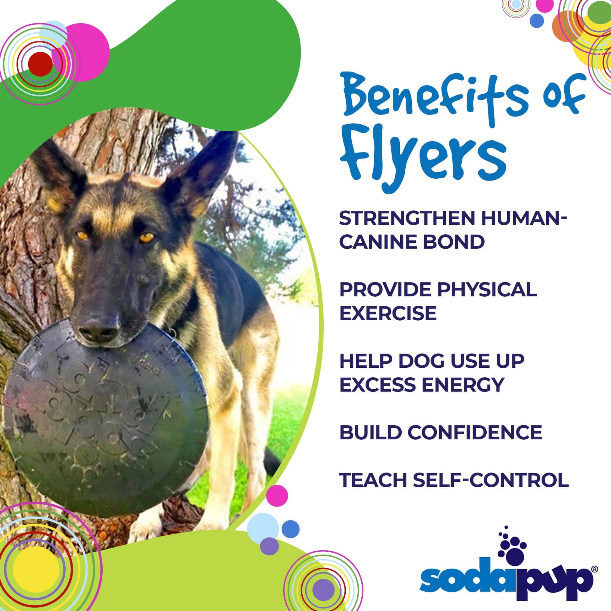 Magnum Bottle Top Flyer Rubber Frisbee For Heavy Chewers USA - lifestyle view