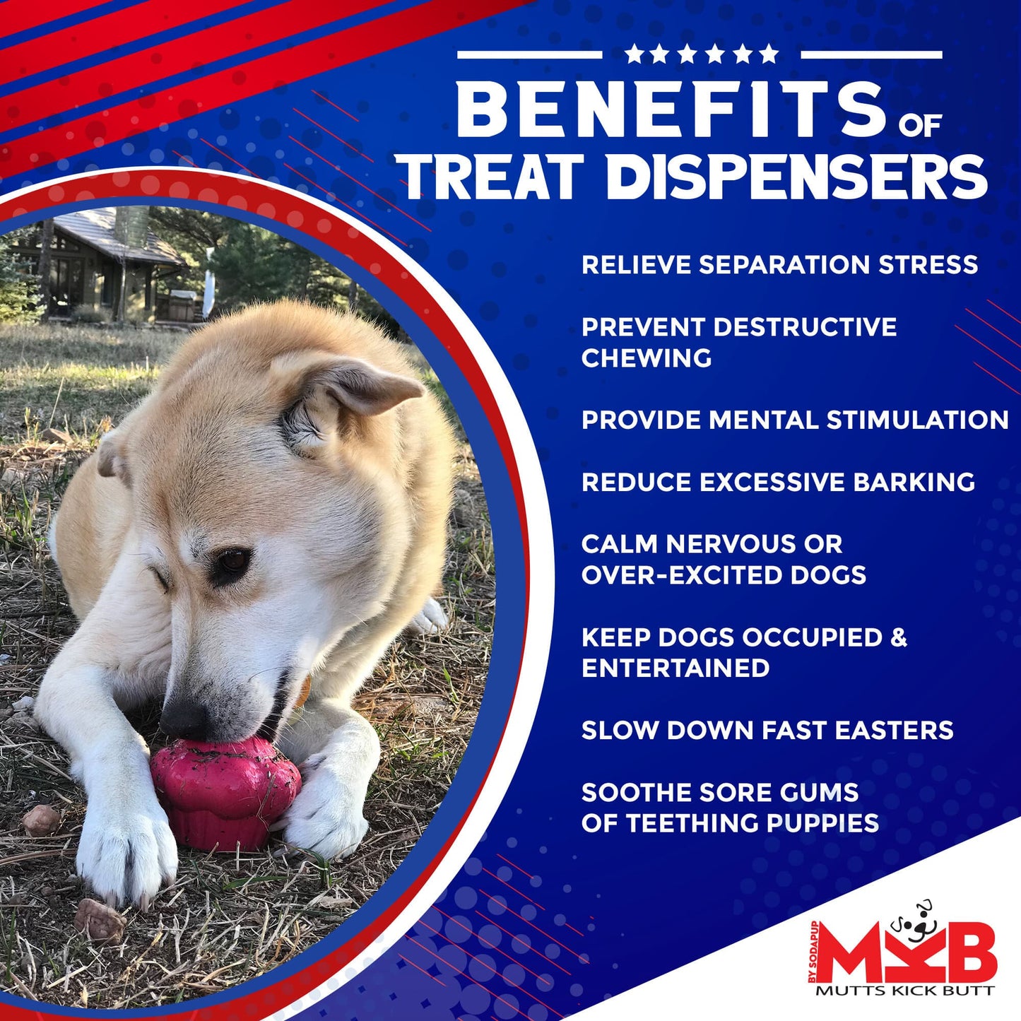 Cupcake Edispenser Durable Rubber Chew Toy Treat Dispenser - lifestyle view