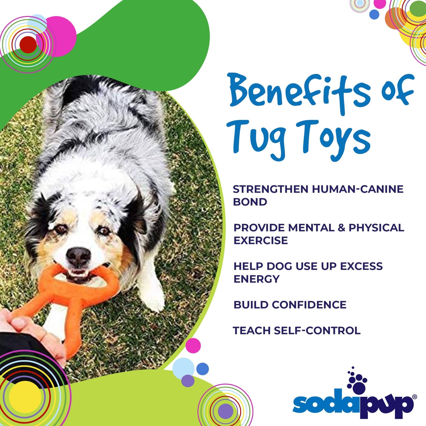 Pop Top Rubber Tug Toy For Interactive Play Heavy Chewers - lifestyle view