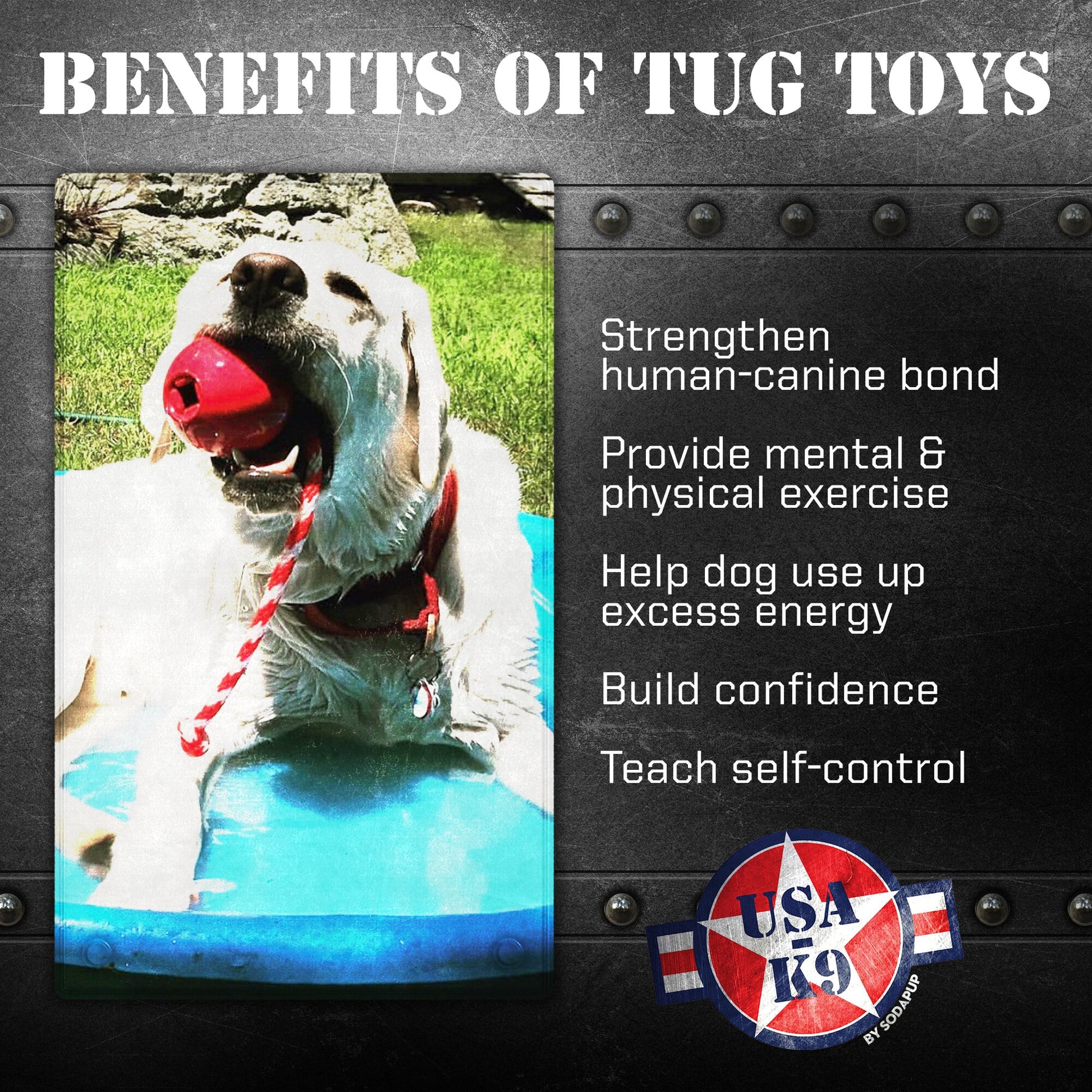 USA K9 Cherry Bomb Rubber Dog Chew Toy K9 Handler Reward Toy - lifestyle view