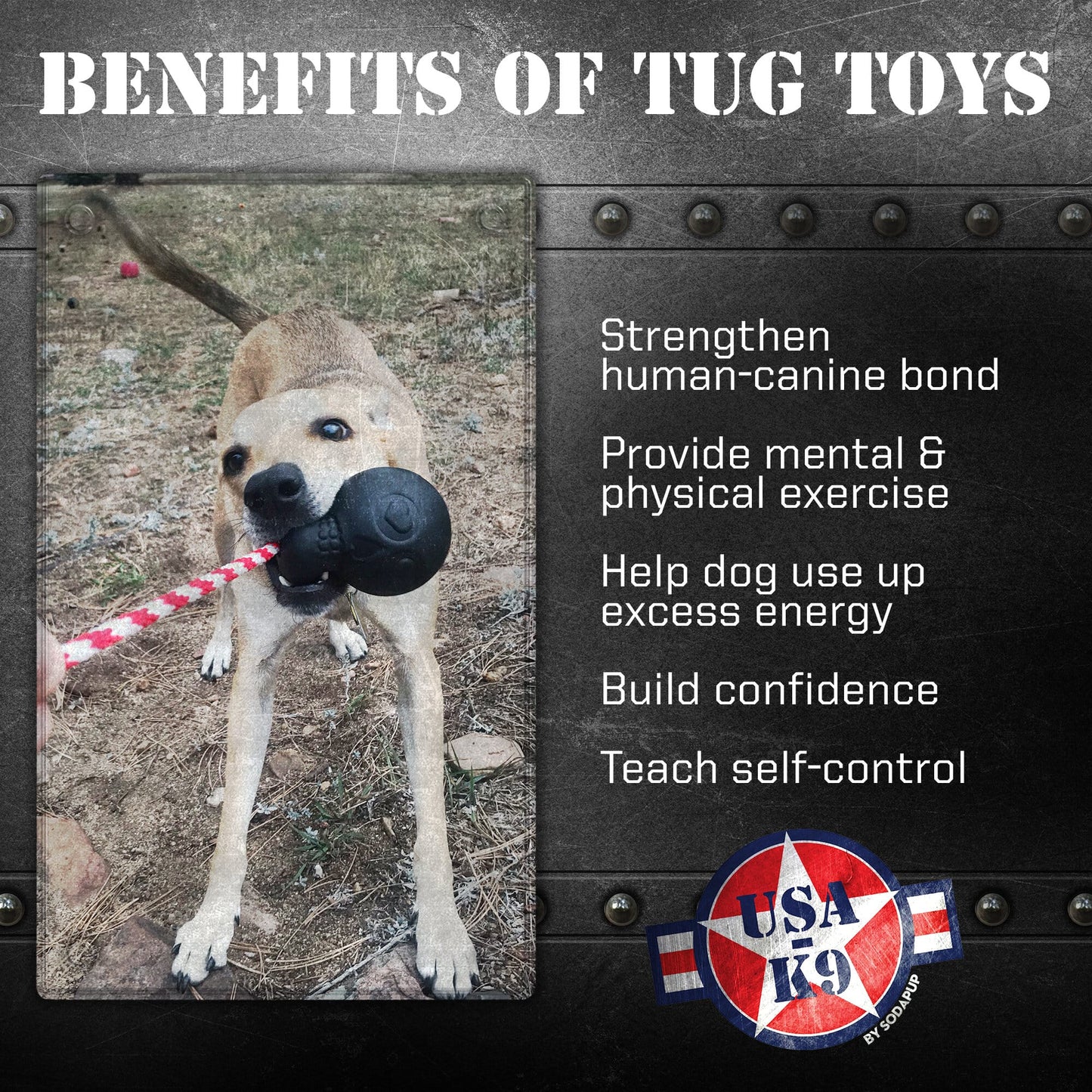 USA K9 Magnum Skull Black Magnum Rubber Chew Toy For Extreme - lifestyle view