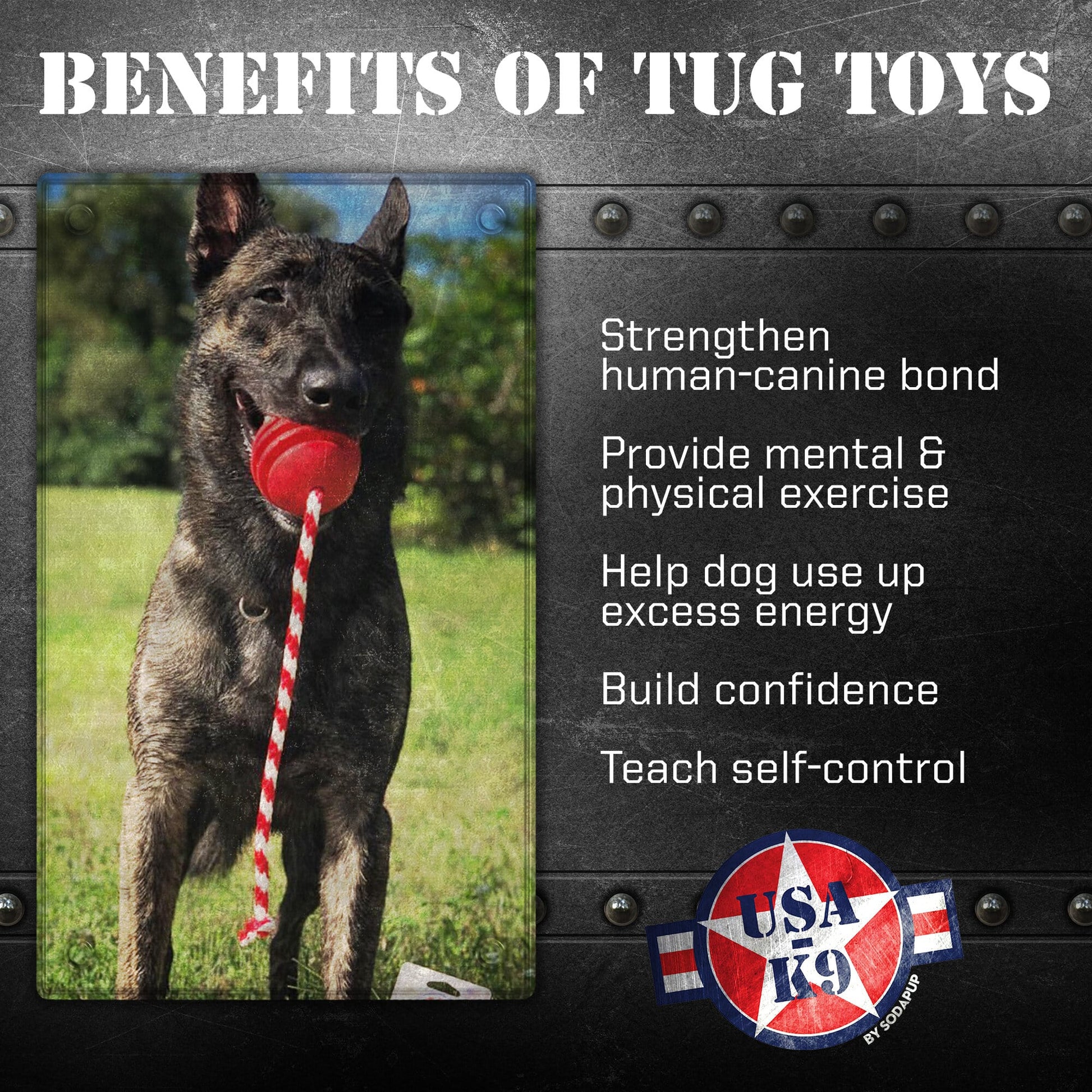 USA K9 Stars And Stripes Rubber Dog Toy K9 Handler Reward - lifestyle view