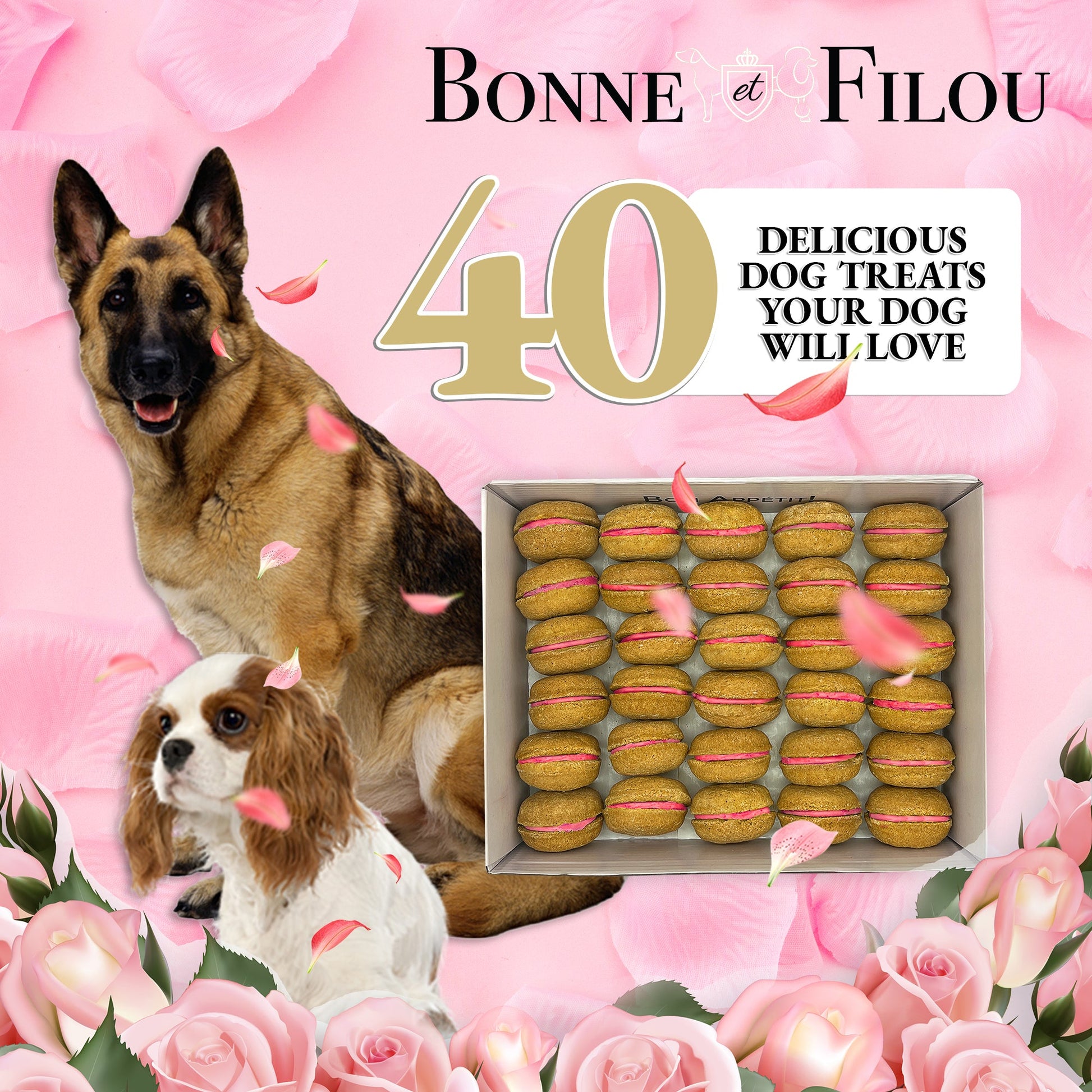 Dog Treats 40 Count Macaron Treats Gift Box for Daily Use - size and texture image for dog treats