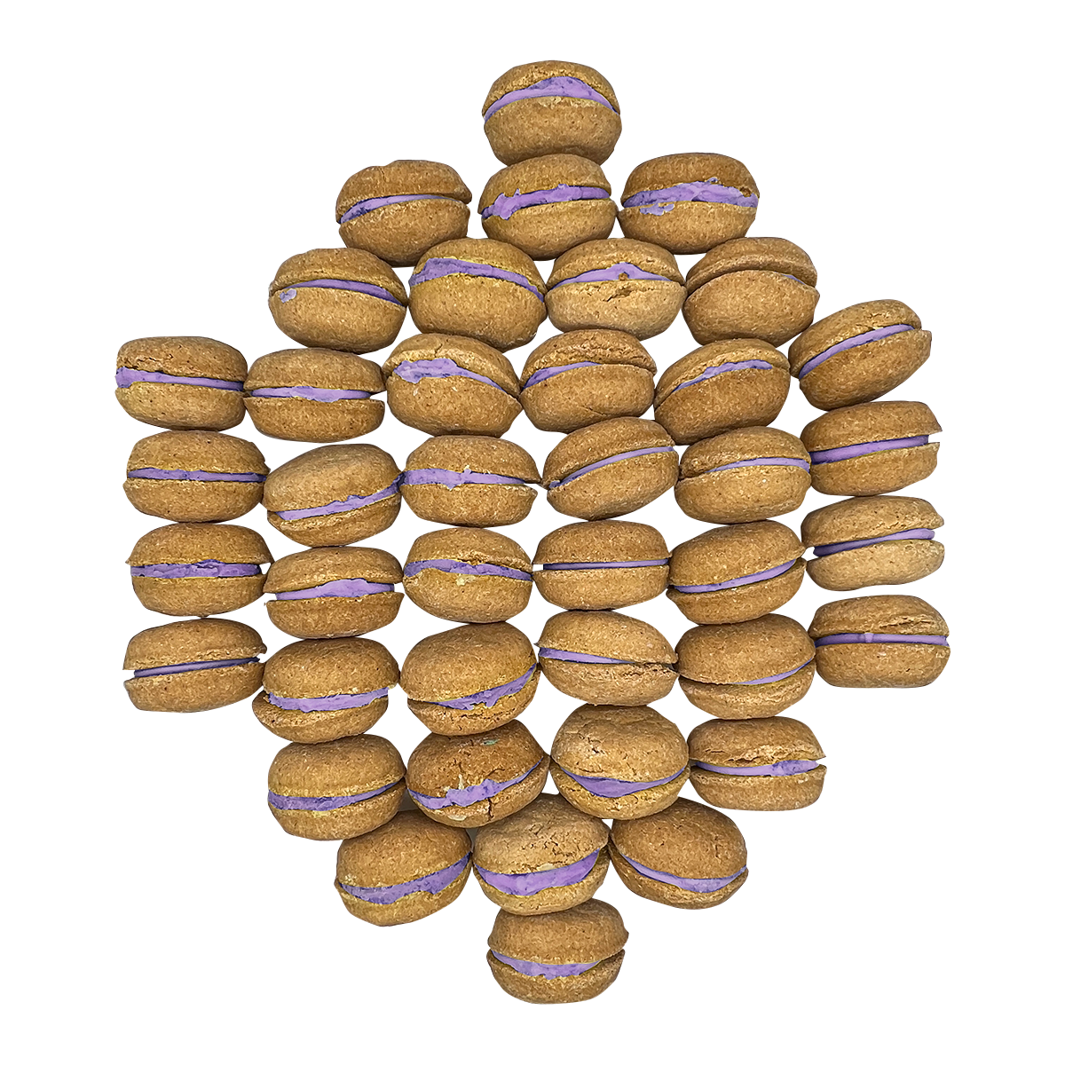 Dog Treats 40 Count Macaron Treats Gift Box for Daily Use - lifestyle product image for dog treats