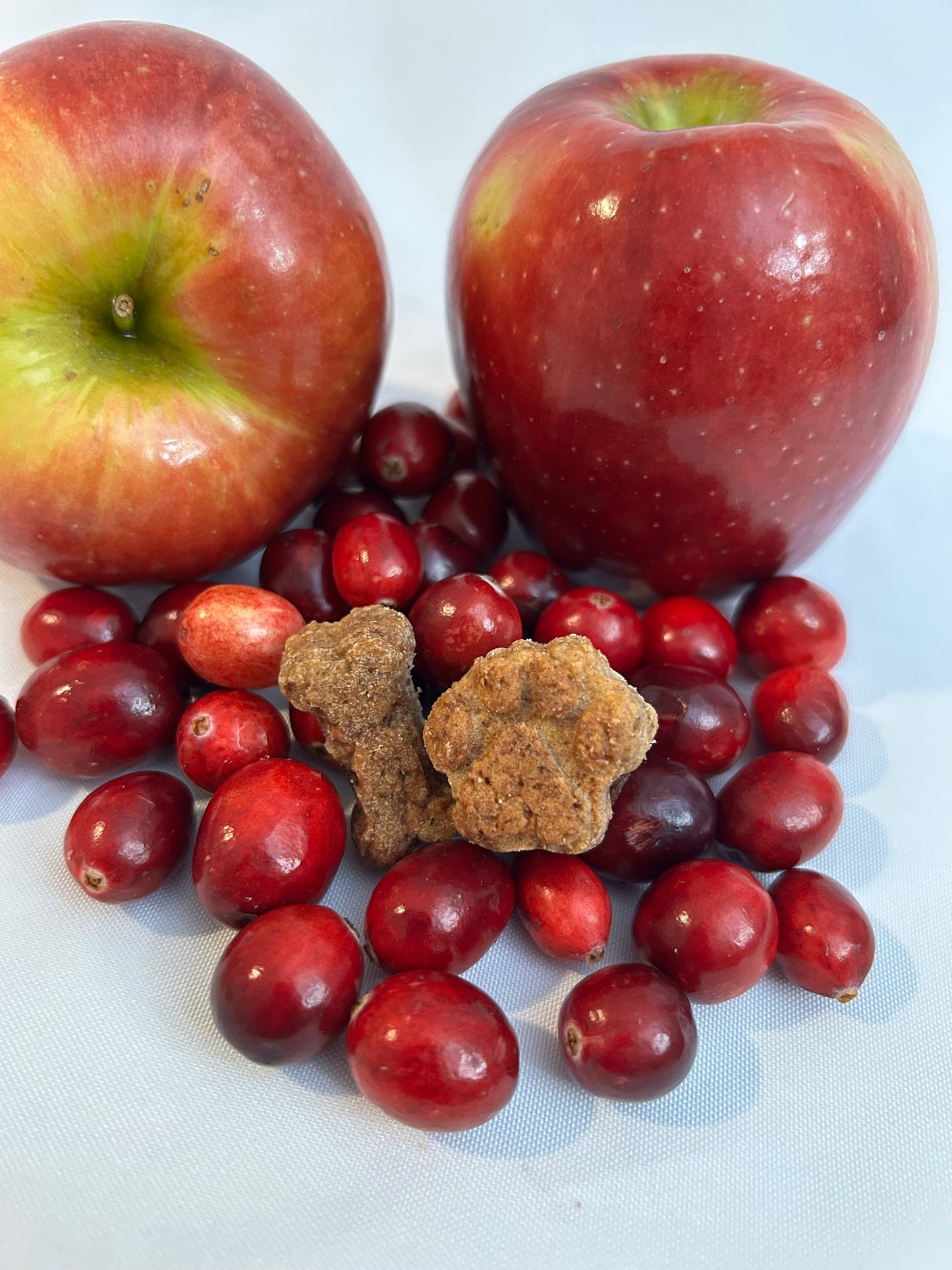 Dog Treats Treats Apple Cranberry oz Bag for Daily Use Essen - main product image for dog treats