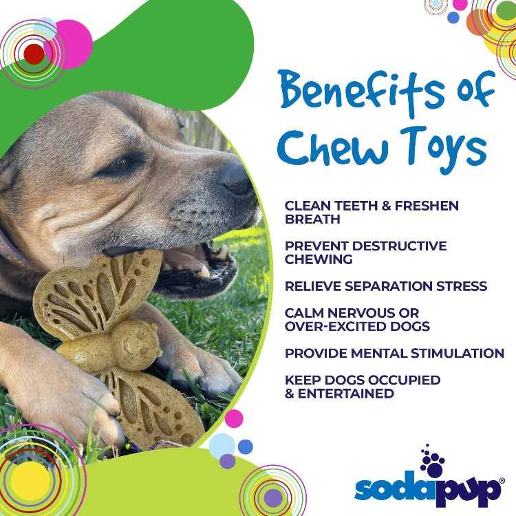 Butterfly Nylon Chew Enrichment Toy 2 In 1 For Aggressive - gallery image 5