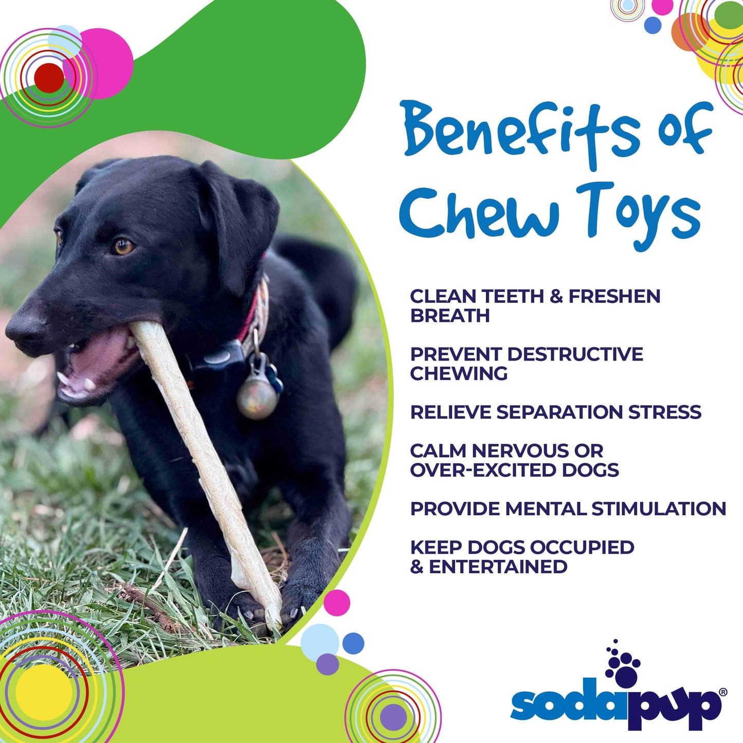 Durable Nylon Chew Stick For Power Chewers Indestructible - lifestyle view