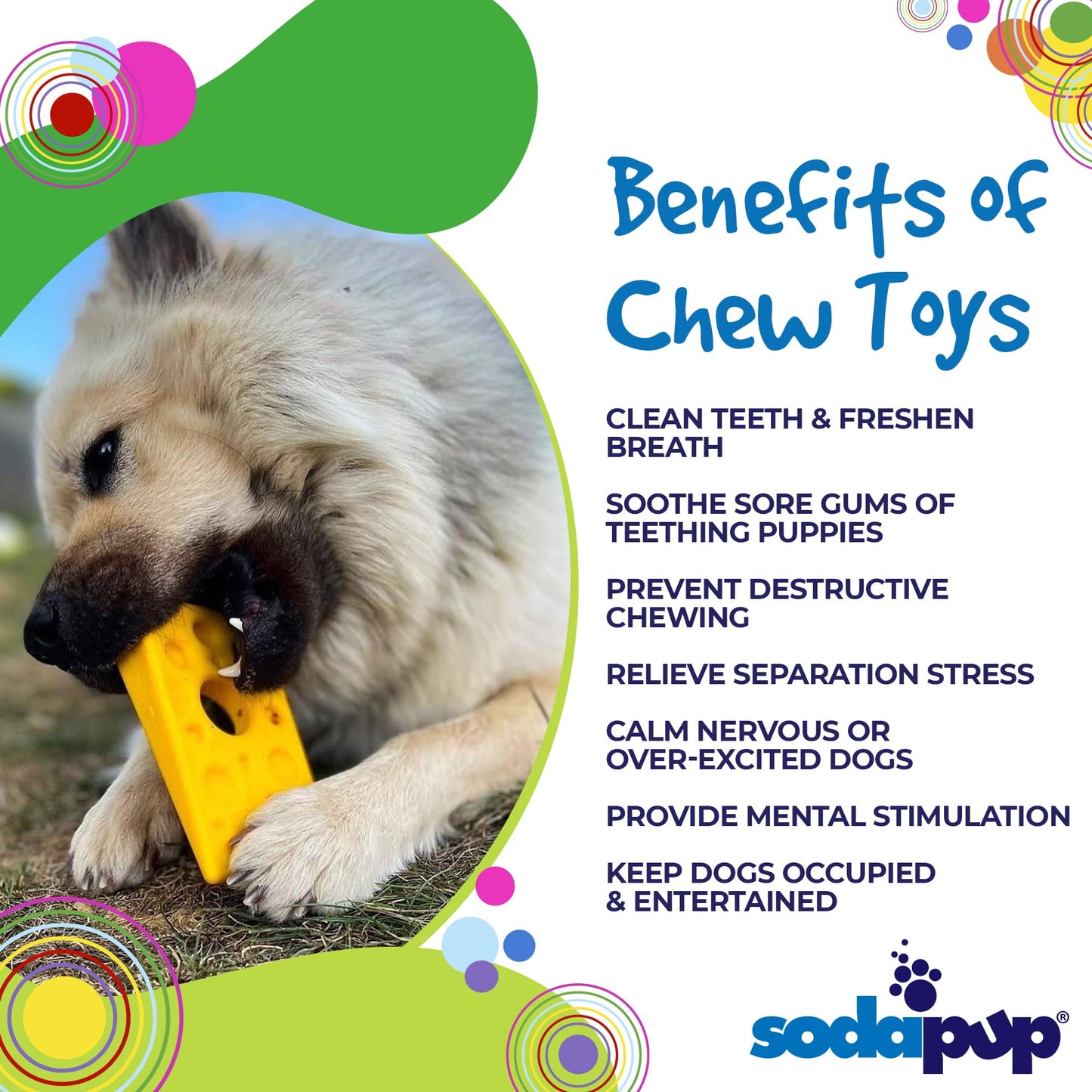 Swiss Cheese Wedge Nylon Dog Chew Toy For Aggressive Chewers - lifestyle view