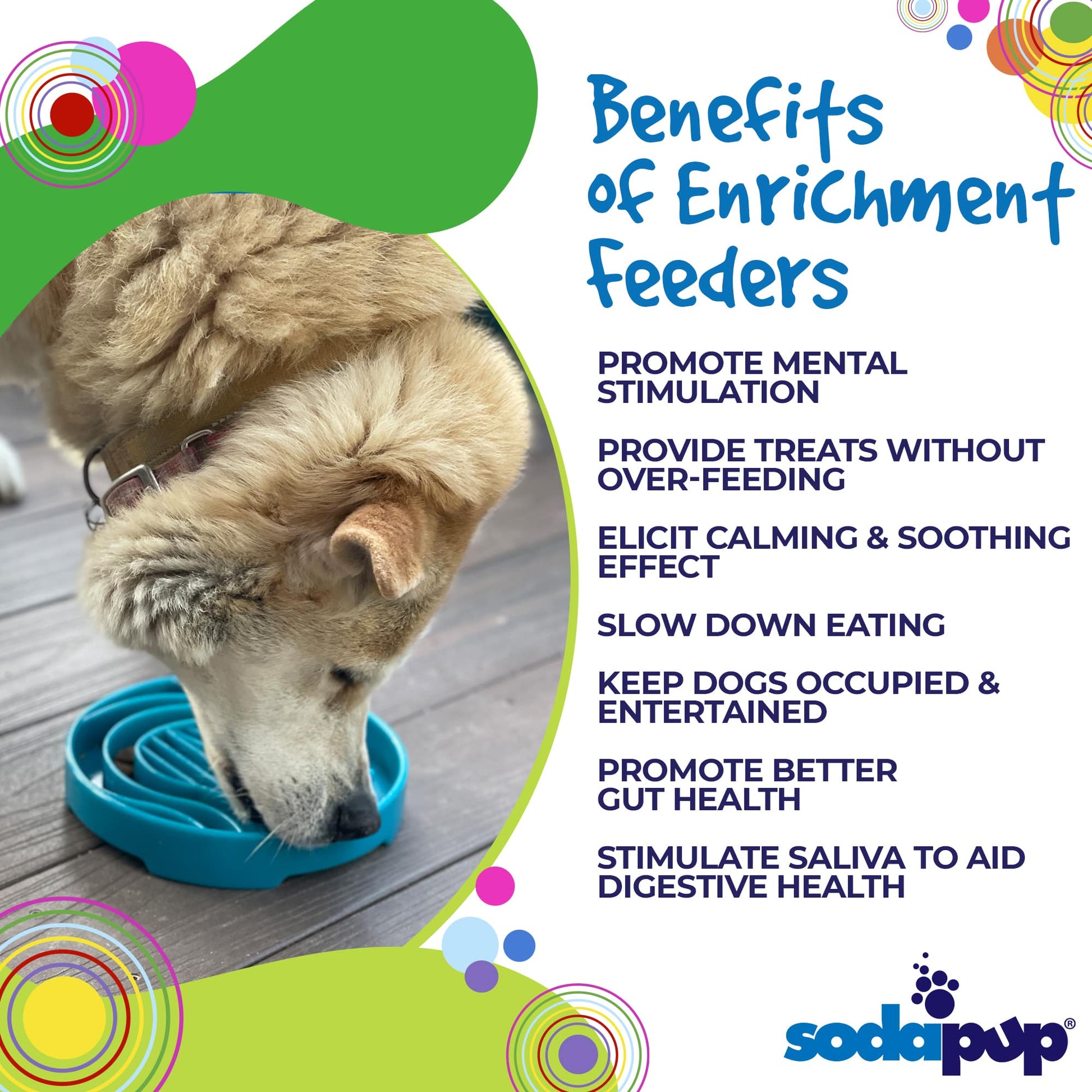 Baja Design eTray - Shallow Slow Feeder Dog Bowl for Enrichment | USA Made - close up view | Slow Feeders at Purrfect Pet