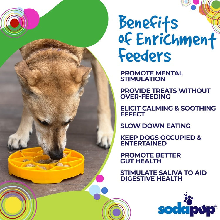 Sunflower Etray Shallow Slow Feeder Dog Bowl For Enrichment - lifestyle view