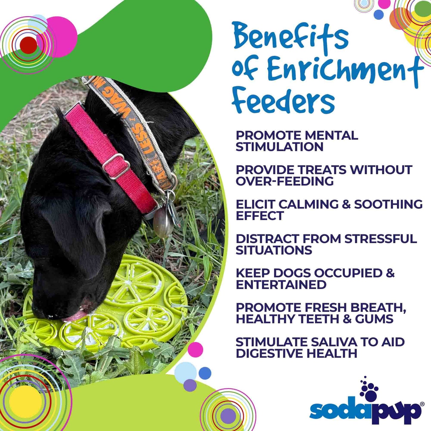Citrus Design Emat Enrichment Lick Mat For Dogs And Cats USA - gallery image 8