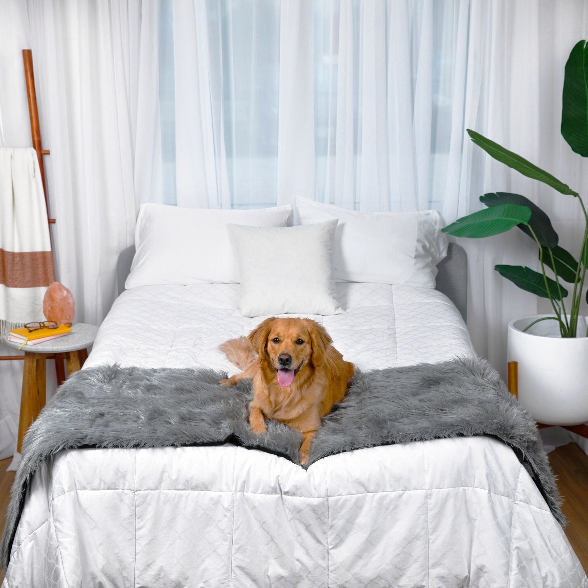 Pupprotector Waterproof Bed Runner Charcoal Grey Washable - gallery image 7