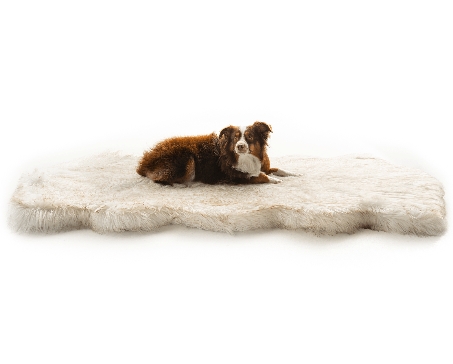 Puprug Runner Faux Fur Memory Foam Dog Bed Curve White With - gallery image 10