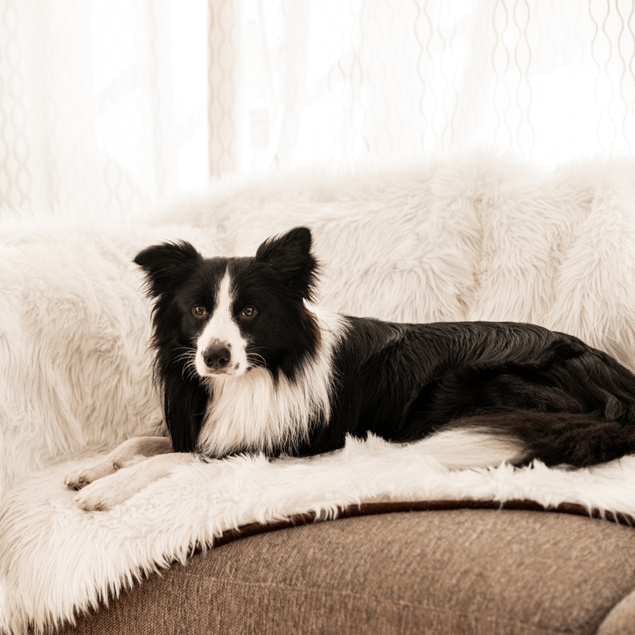 Pupprotector Waterproof Throw Blanket Polar White Washable - gallery image 7