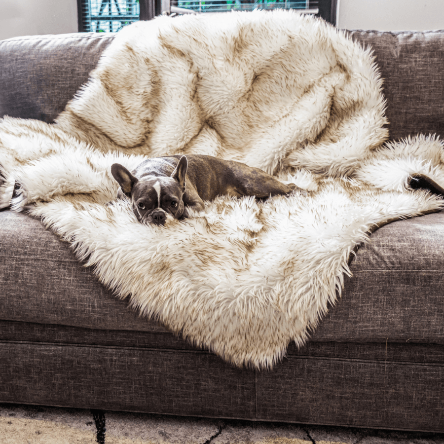Pupprotector Waterproof Throw Blanket White With Brown Pet - gallery image 6