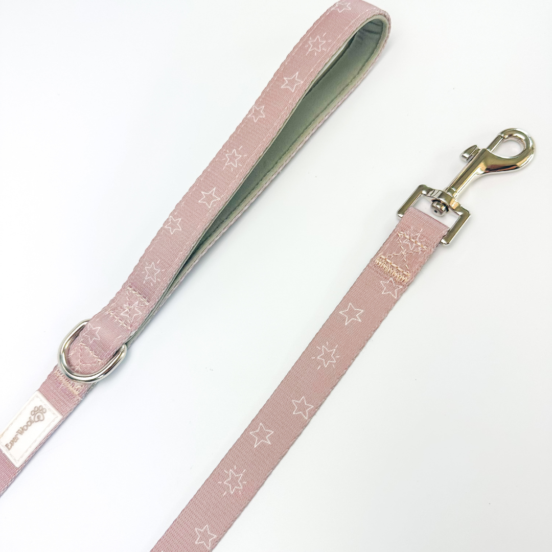 Pet Leash Asteria Leash for Daily Use for Comfort Essential - detail product image for pet leash