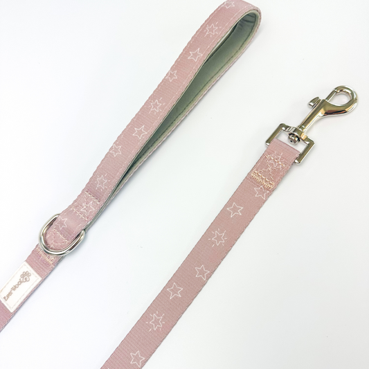 Pet Leash Asteria Leash for Daily Use for Comfort Essential - detail product image for pet leash
