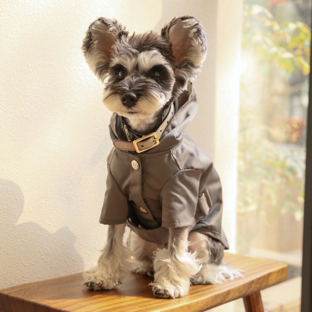 Dog Apparel Active Outdoor Wear Adjustable GRAY Comfort - gallery image 6