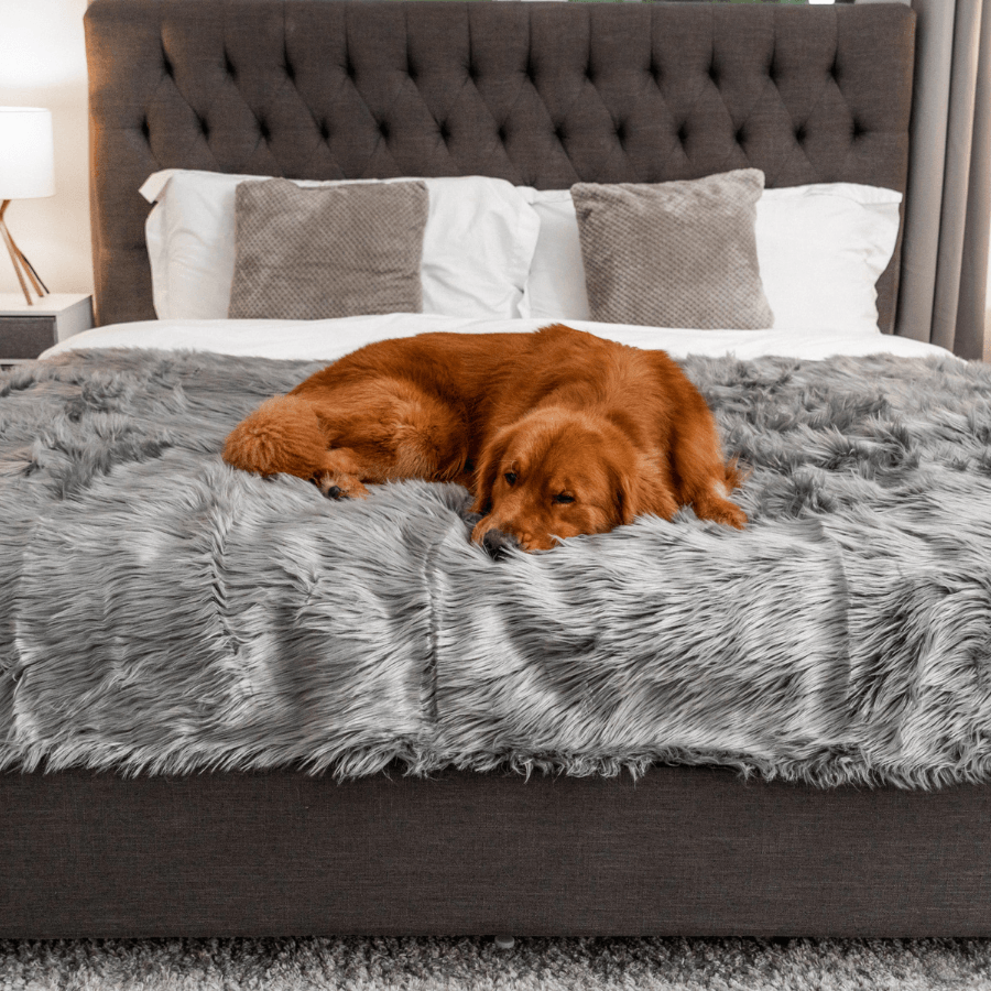 Pupprotector Waterproof Throw Blanket Charcoal Grey Pet Bed - gallery image 9