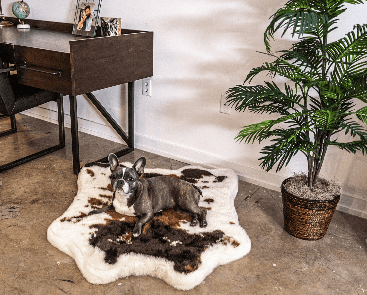 Memory Foam Dog Bed Faux Fur Brown Orthopedic Comfort Premiu - gallery image 9