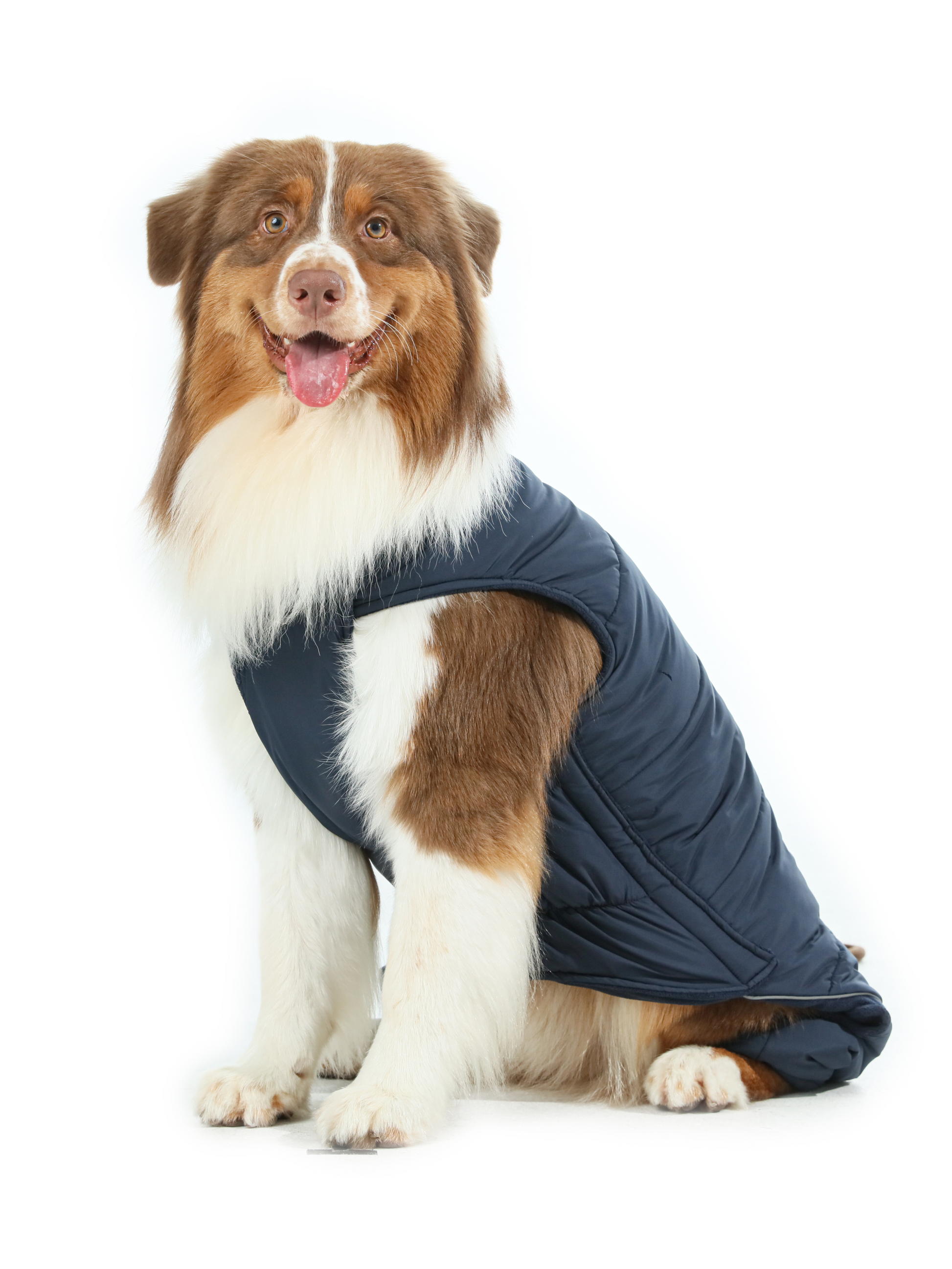 Reversible Dog Vest Jacket Blue Dog Apparel Premium Pet - gallery image 7