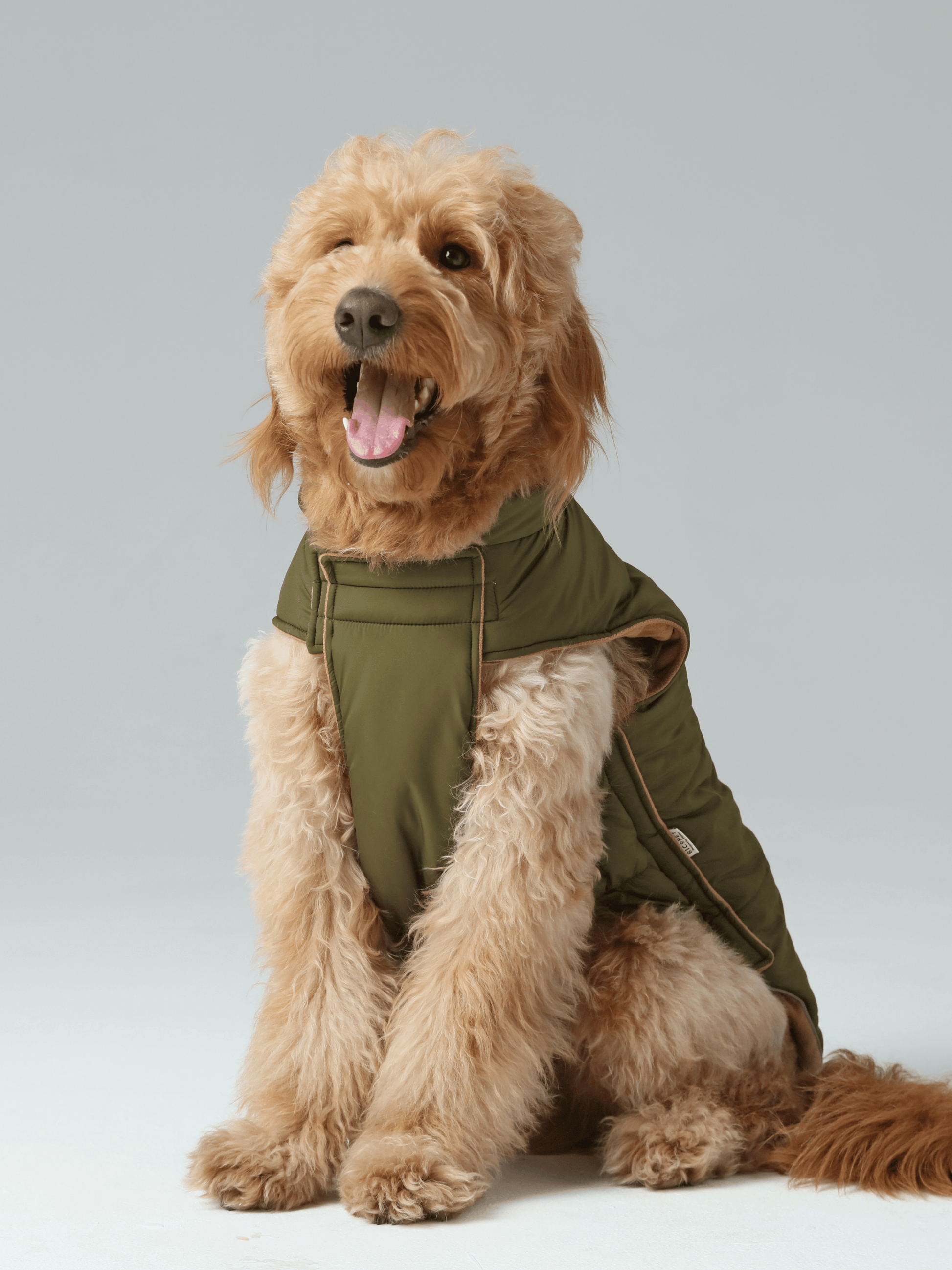 Reversible Dog Vest Jacket Green Brown Dog Apparel Premium - gallery image 10