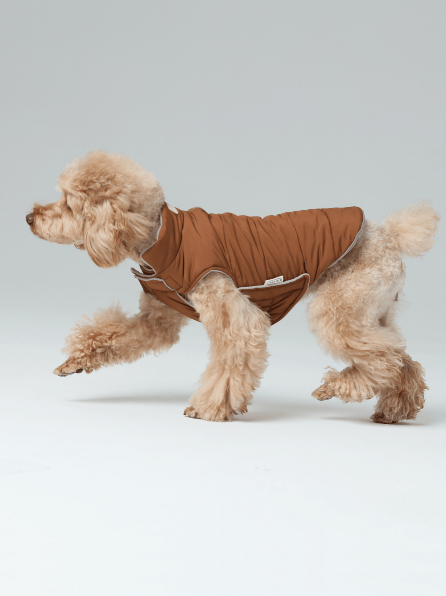 Dog Apparel Active Outdoor Wear Adjustable Grey Comfort - gallery image 17