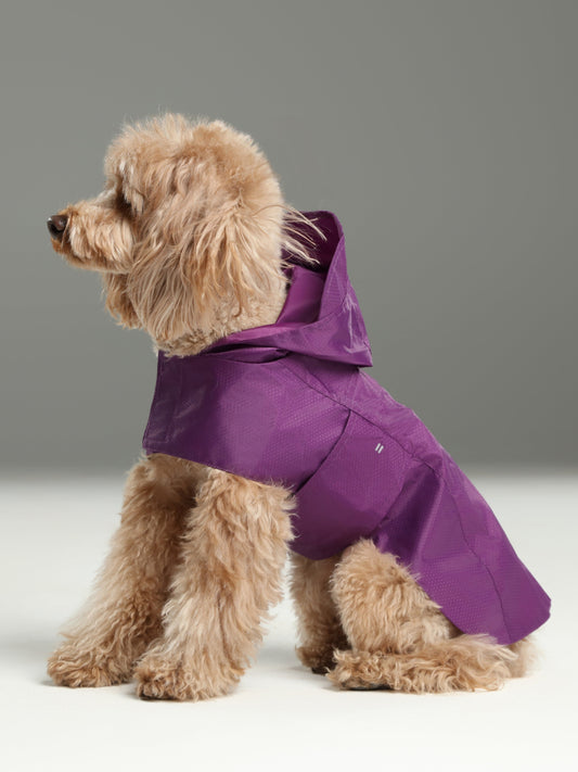 Capsule Raincoat Purple Dog Apparel Premium Pet Supply - main product image