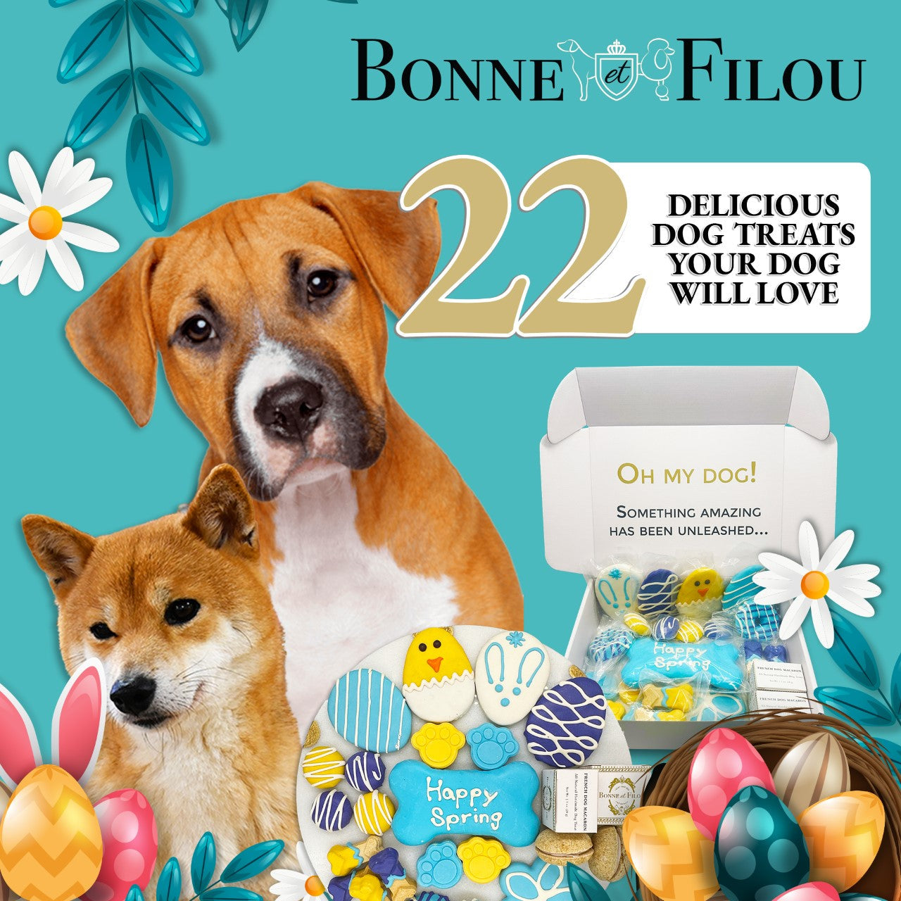 Dog Treats Spring Themed Treats for Daily Use for Comfort - size and texture image for dog treats