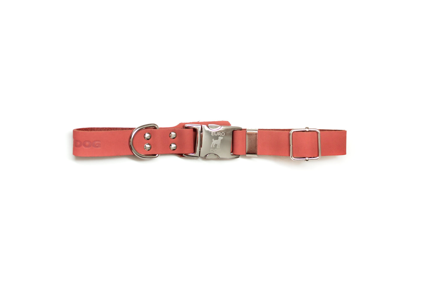 Dog Collar Modern Style Quick-Release Coral Reef Leather - lifestyle product image for dog collar