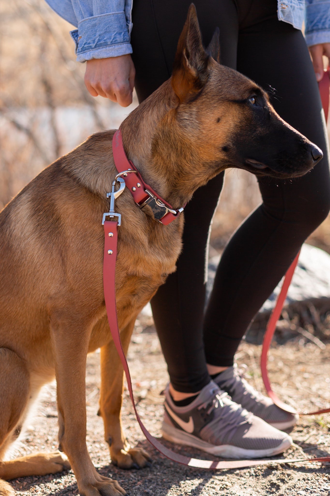 Dog Collar Modern Style Coral Reef Leather Leash for Comfort main product image for dogs and cats