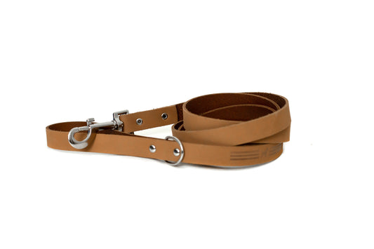 Dog Collar Modern Style Khaki Leather Leash for Daily Use - main product image for dog collar