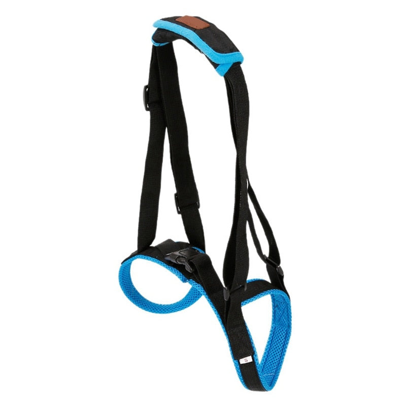 New Adjustable Dog Lift Harness For Back Legs Pet Support - gallery image 5