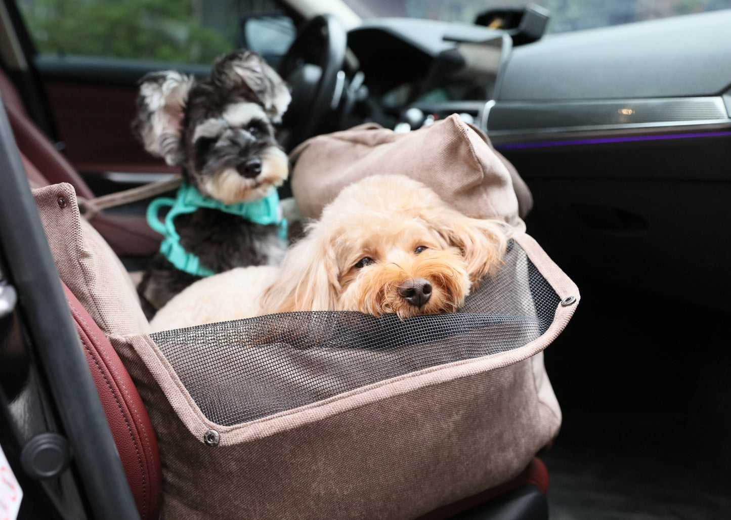 Pet Travel Accessories Adjustable Pink Premium Pet Supply - gallery image 5