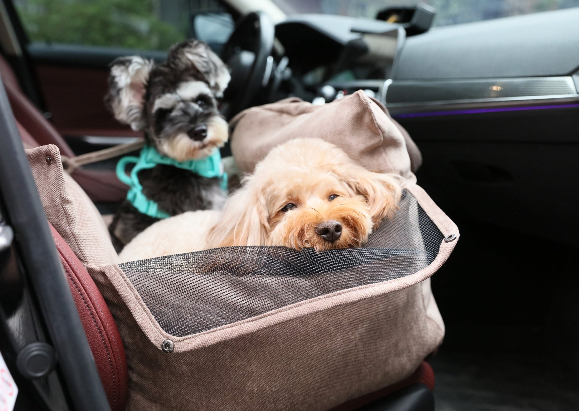 Pet Travel Accessories Adjustable Pink Premium Pet Supply - gallery image 5