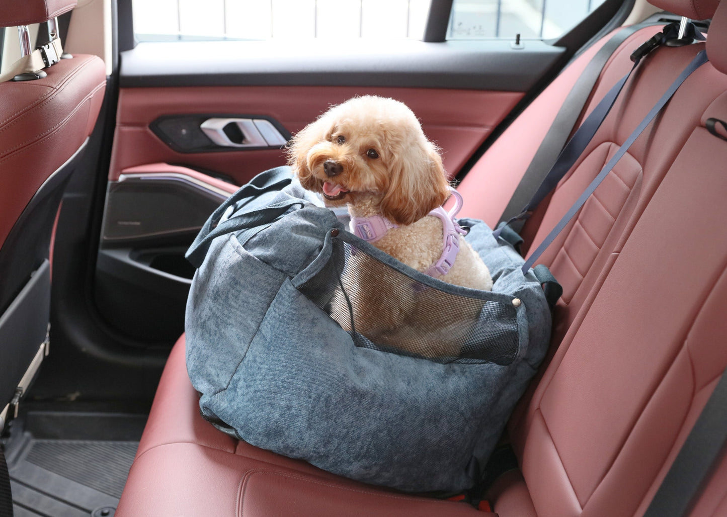 Pet Travel Accessories Adjustable Blue Premium Pet Supply - close up view