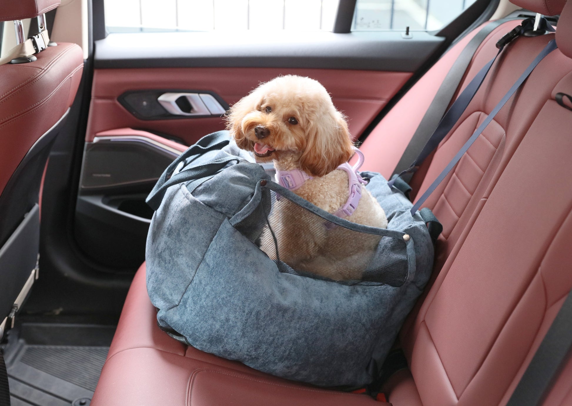 Pet Travel Accessories Adjustable Blue Premium Pet Supply - close up view