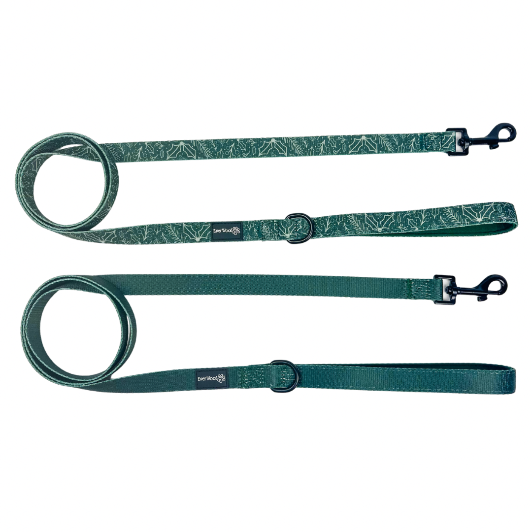 Pet Leash Leash Evergreen Dream Leashes for for Daily Use - main product image for pet leash