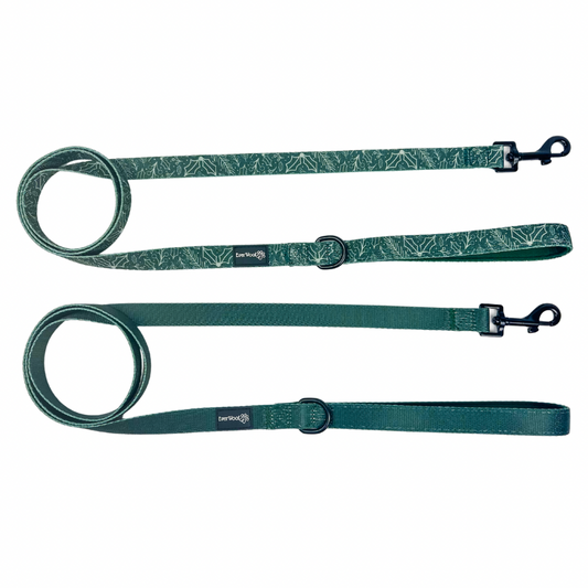 Pet Leash Leash Evergreen Dream Leashes for for Daily Use - main product image for pet leash