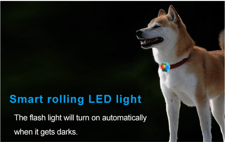 Dog Pet Collar Anti Loss Locator Adjustable Dog Walking Gear - detail view