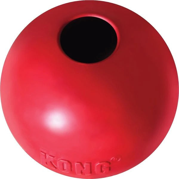 KONG Ball Medium Fetch Dog Toy Durable Play - lifestyle view
